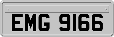 EMG9166