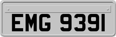 EMG9391