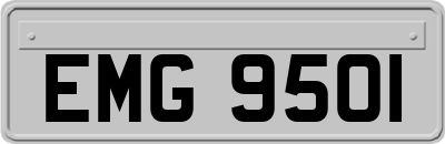 EMG9501