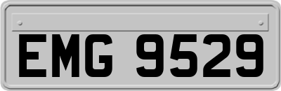 EMG9529
