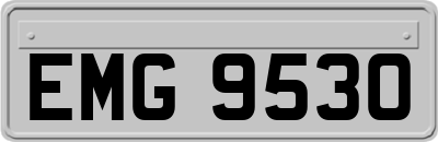 EMG9530