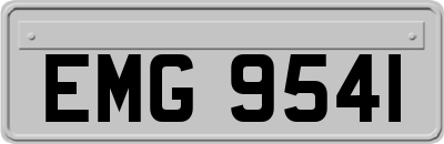 EMG9541