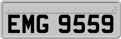 EMG9559