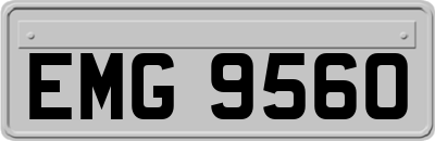EMG9560