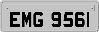 EMG9561