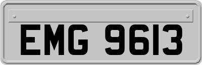 EMG9613