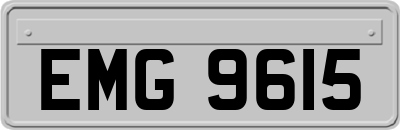 EMG9615