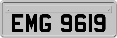 EMG9619