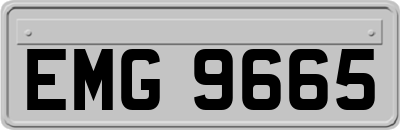 EMG9665