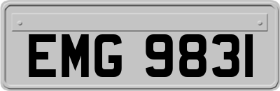 EMG9831