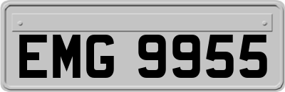 EMG9955