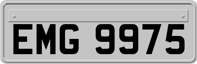EMG9975