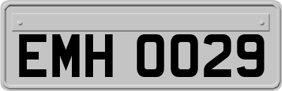 EMH0029
