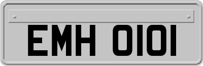 EMH0101