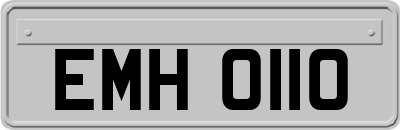 EMH0110