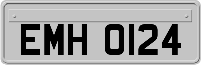 EMH0124