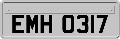 EMH0317