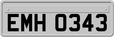 EMH0343