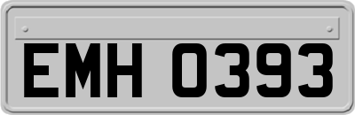EMH0393