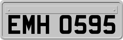 EMH0595