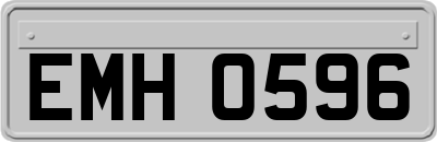 EMH0596