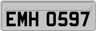 EMH0597