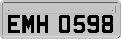 EMH0598
