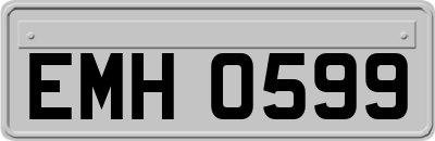 EMH0599