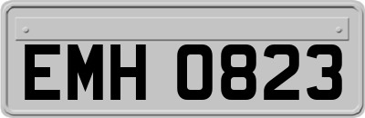 EMH0823