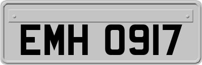 EMH0917