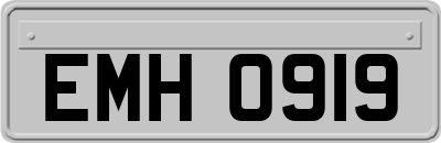 EMH0919