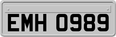 EMH0989