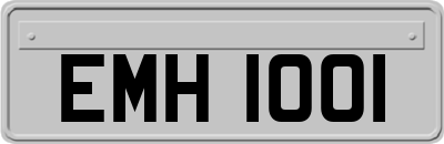EMH1001