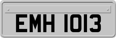 EMH1013