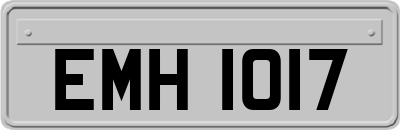 EMH1017
