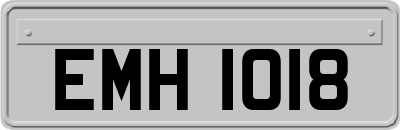 EMH1018