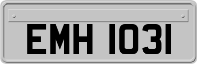 EMH1031