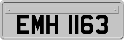 EMH1163