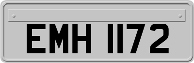 EMH1172
