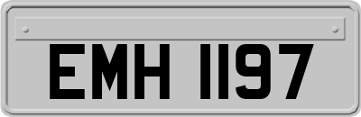 EMH1197