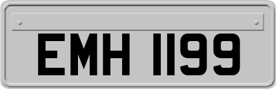 EMH1199