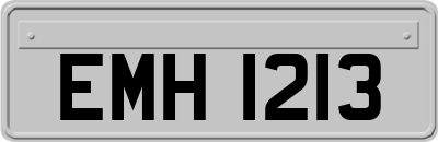 EMH1213