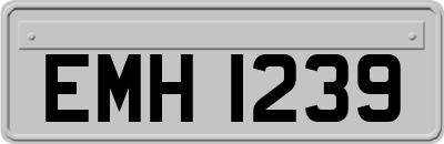 EMH1239