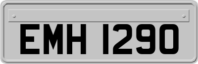 EMH1290