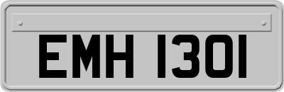 EMH1301