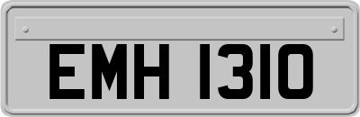 EMH1310