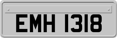 EMH1318