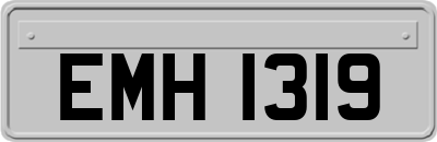 EMH1319
