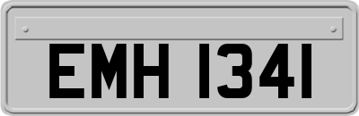 EMH1341