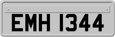 EMH1344